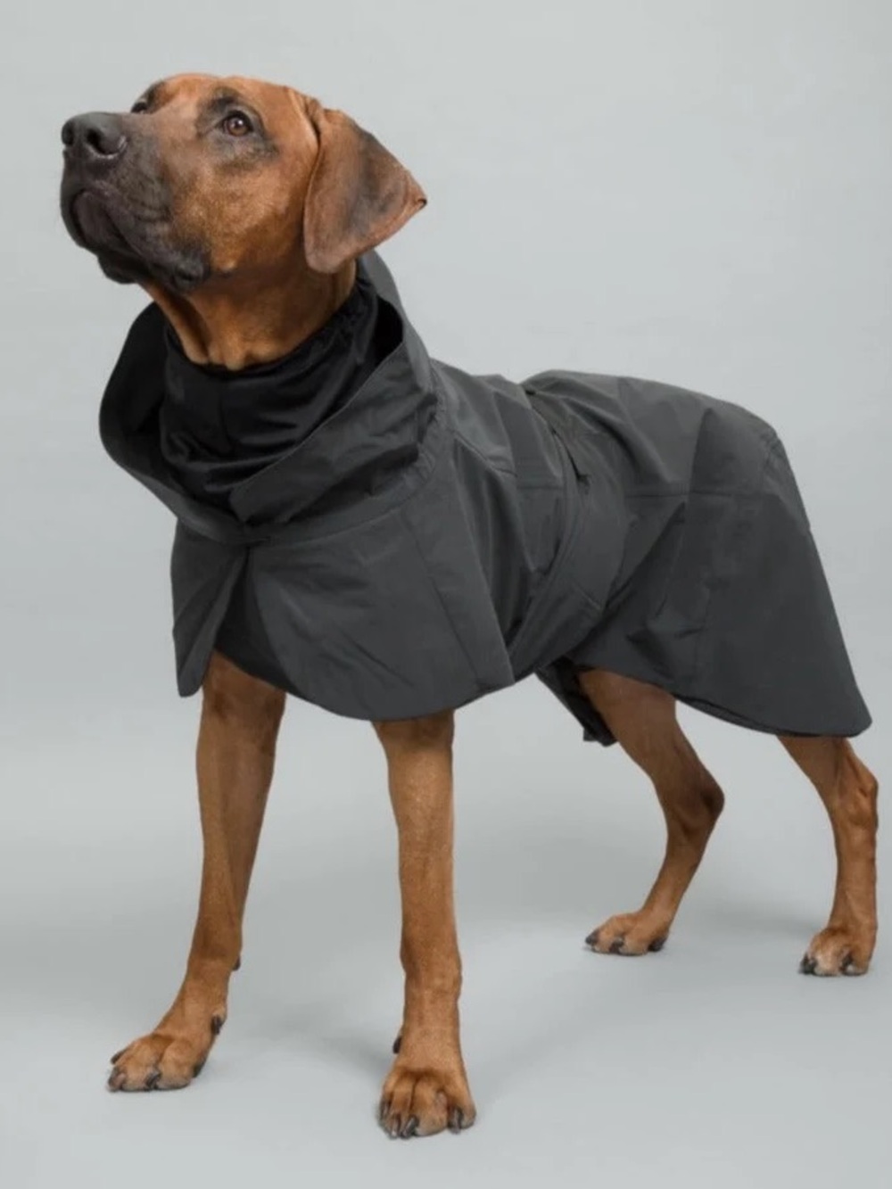 Paikka Winter Visibility Coat Dark